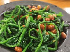 花仁菠菜-金生隆(六铺炕店)