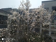 -江南大学(蠡湖校区)
