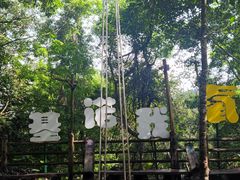 -西双版纳基诺山寨