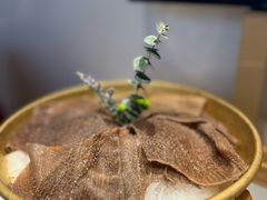 -巴奴毛肚火锅概念餐厅