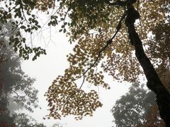 -龙苍沟森林公园