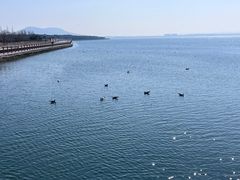 -烟墩角天鹅湖