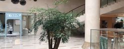 点击看大图 -无界瑜伽普拉提