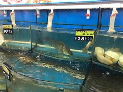 -渔中舟海鲜大排档(普陀沈家门店)