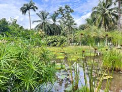 -中国科学院西双版纳热带植物园