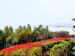 -天目湖涵田半山温泉
