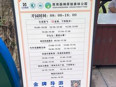 -西双版纳原始森林公园
