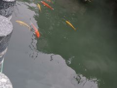 -千滋百味·醉江澜花园餐厅(街道口店)
