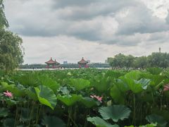 -长春市南湖公园