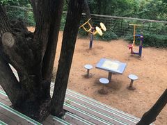 -金鸡山公园