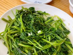 空心菜-斯丹姜母鸭(涂门街总店)