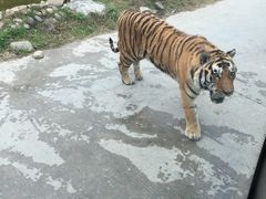 -西安秦岭野生动物园