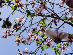 -桃花涧