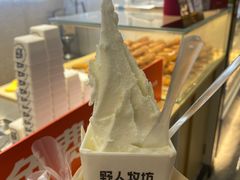 -野人先生现做冰淇淋(西安赛格店)