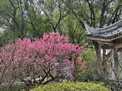 -无锡梅园公园