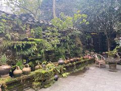 -青城甲(青城山店)