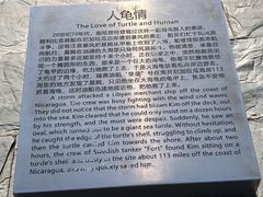 -广东惠东海龟国家级自然保护区