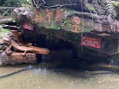 -印象鲵宴·张家界地标美食名片(溪布街店)