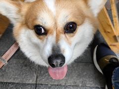 -天佑祥万春卤菜老店(芙蓉大道一段店)