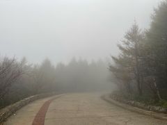 -白草畔自然风景区