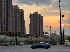 -新江湾城公园