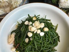 -蒙料·手把肉(望京店)