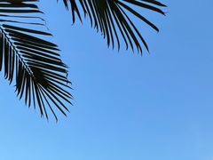 -迪卡侬(雨花店)