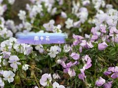 -中山公园