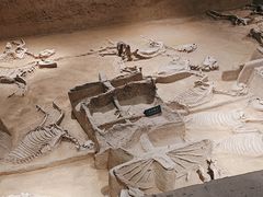 -洛阳周王城天子驾六博物馆