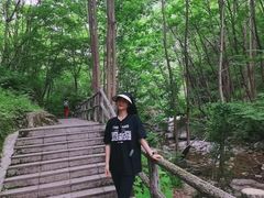 -牛背梁国家森林公园