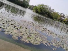 -新江湾城公园