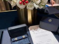 -Harry Winston 海瑞温斯顿