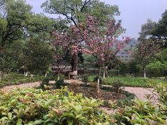 -杭州花家山庄