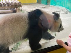 -杭州野生动物世界
