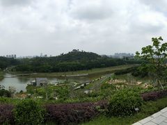 -东莞植物园