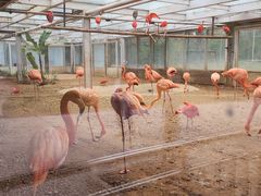 -石家庄市动物园