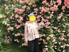 -都江堰玫瑰花溪谷