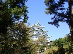 -名古屋城