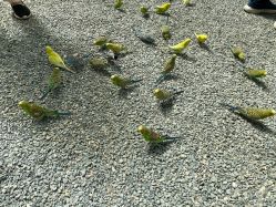 -萌宠亲子动物乐园(槐房万达店)