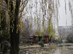 -木塔寺遗址生态公园
