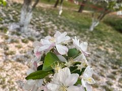 -元大都城垣遗址公园