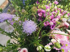 -植物学家的女儿(北马道巷店)