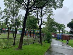 -吴淞炮台湾湿地森林公园烧烤区