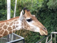 -泉州海丝野生动物世界