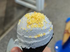 -蔻蔻椰·鲜萃椰子水(COCO Park店)
