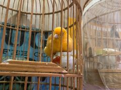 -Rabbit Cafe私房西餐甜点咖啡(栖霞路店)