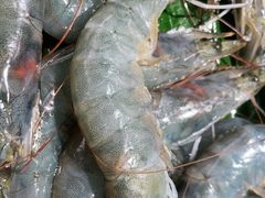 -亚马逊海鲜自助(梅溪湖步步高店)