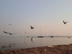 -邛海风味特色菜馆