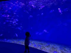 -波塞冬旅游度假区