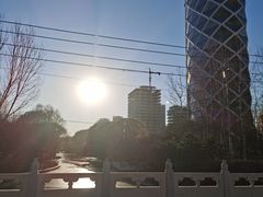 -大望京公园